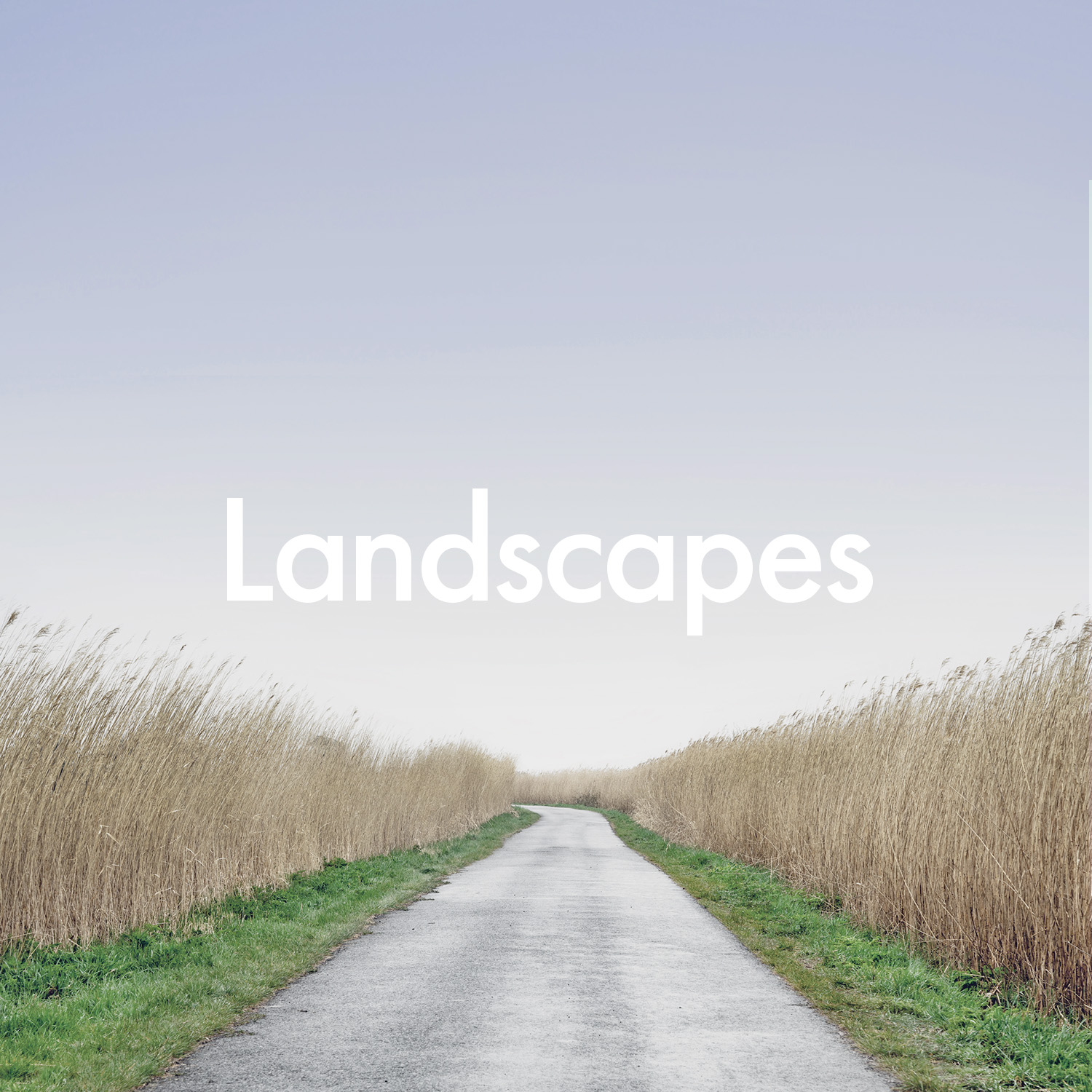 Landscapes